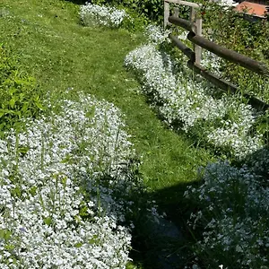  Apartment Huguette 18m2